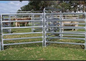 China Dust Proof Galvanized Livestock Panels , Portable Cattle Panels Easy Maintenance factory