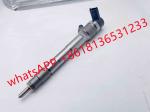 New Diesel Fuel Injector 0445110 376 Diesel Pump Injection 0445110376 5285744