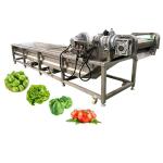 8.3kw Industrial Water Bubble Fruit and Vegetable Washing Machine for Fast