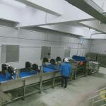 Leadworld Automatic Canned Soybeans Green Beans Chickpeas And Red Beans