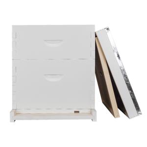 China 20mm Thickness Fir Painted White Langstroth Bee Hive factory