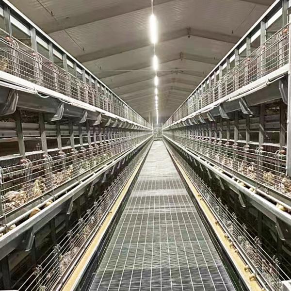 Automatic Battery Day Old Chicks Poultry Equipment Automated Pullet Brooding