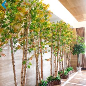 China Indoor Fake Birch Tree For Window Display Decoration 5-10 Years Life Time factory