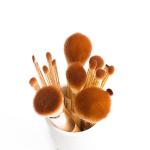 Jessup Bamboo Makeup Brushes Set 15pcs Vegan Soft Eco Friendly Makeup Accessorie