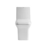 Dual Flush Elongated One Piece Commode Seat Included