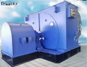 China Driving Compressors AC Synchronous Motor Flame Proof 10 KV Electric 12000kw factory