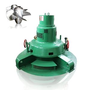 China House And Power Plant 50kw~20mw Small Hydro Generator Mini Kaplan Water Turbine factory