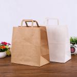 Custom Printed Kraft Paper Bags Environmentally Friendly Flat Hand Rope