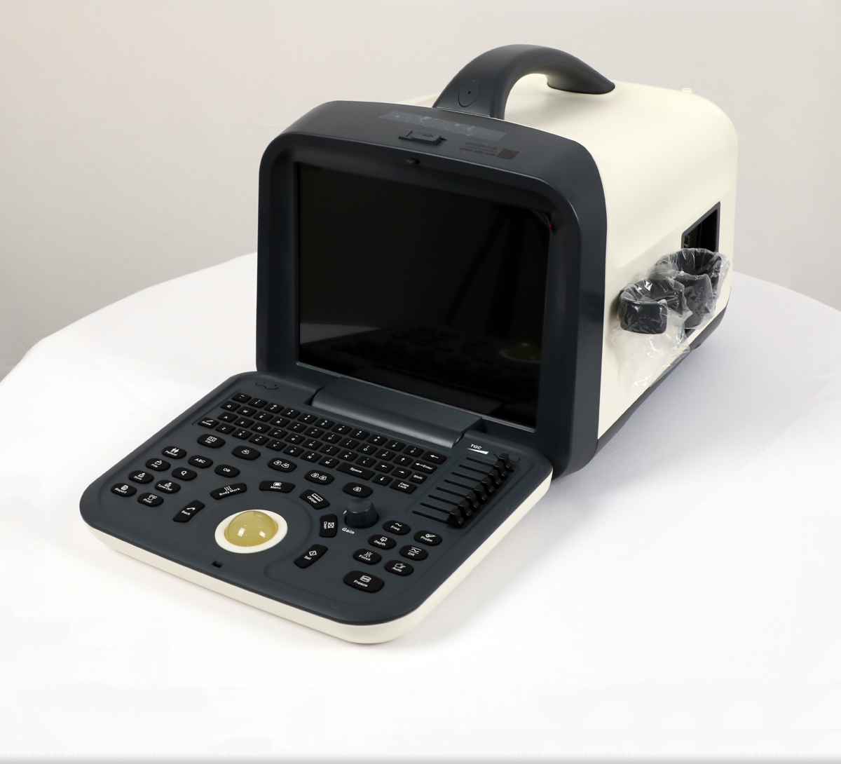 2021 Top Selling Medical Ultrasound Instruments, Portable B&w Ultrasound Scan Machine for Hospital