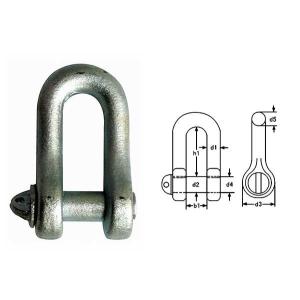 China DIN82101 Hoist Accessories A D Shackle Customized on sale