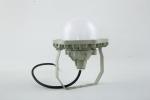 Explosion Proof High Bay Light Fixture for zone1/2%21/22 , GYD8201-DG 30-50W