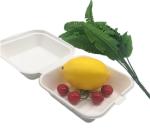 6x6 Inch Biodegradable Takeout Containers