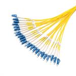 24 Core Fiber Optic Patch Cord , Single Mode Fiber Jumper SM Lc-Lc