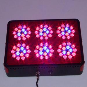 China Alibaba Iron Lamp Body 3w Chip apollo6 Hydroponics 270w Full Spectrum Led Grow Lights factory