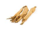 Health Care Improving Immune Root Ginseng Extract Powder