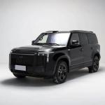 Chinese Baic Jishi 01 Series Long Range Polar Stone 01 Electric Vehicle with