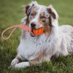 High Durable Rubber Dog Chew Ball Pet Toy for Play and Exercise Manufacturers