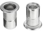 A2 A4 Stainless Steel Thread Insert Flat Head Round Body Close End Blind Rivet
