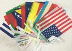 Polyester Bunting Flags Outdoor , 10*15cm Decorative International String Flags