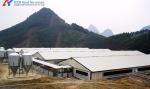 Q345 Q235 Steel Poultry House Onsite Installation With Automatic Equipment