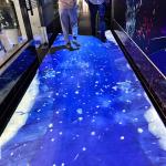 Custom Rich Themes Interactive Indoor Floor Projector Game