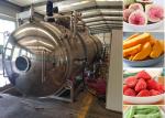 Industrial Freeze Dry Fruit Machine 200Kg Food Vacuum Freeze Drying Machine