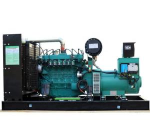 China 100% Pure Copper Brushless Alternator 200KW Natural Gas Generator for Power Generation factory