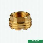 Ppr Female Brass Inserts Lighter Weight Customized Designs Shinning Nickel