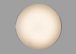 φ450mm LED Ceiling Light Fixtures Residential , Luminaire Adjustable LED Ceiling