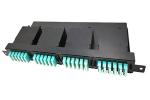 144F 19in 1U MPO MTP Patch Panels 12 Port Patch Panel Rack Mount For Fiber