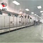 Mango Drying Equipment 400kg/H Industrial Conveyor Belt Dryer