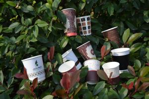China Huakeo Hot Coffee Paper Cups, with PE lining, 8oz,12oz,16oz,20oz factory