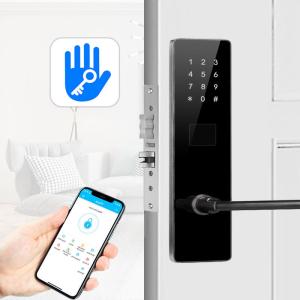 China Black Color Bluetooth TTlock Password Electronic Smart Door Locks for Apartment Home factory