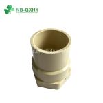 QX ASTM 1 prime prime Pressure Fitting CPVC Female Thread Adaptor Welding