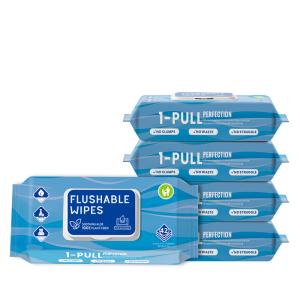 China OEM China Factory flushable Wipes 42pcs on sale