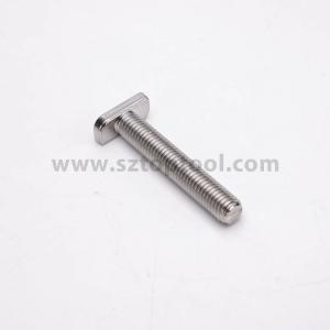 China 304 316 Stainless Steel T Bolt M6 Hex Bolts For PV Box Fasteners factory