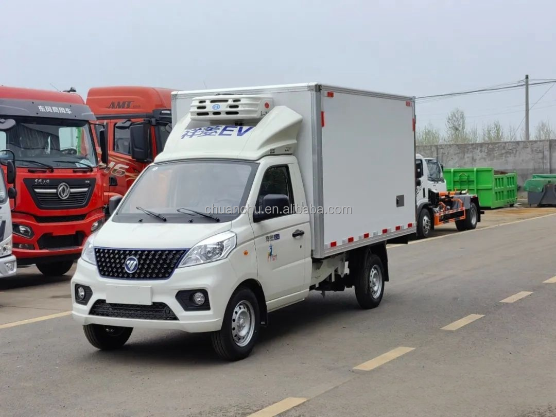 Customized Frozen Meat Delivery Trucks 4.2m Pure Electric Refrigerated Truck