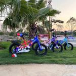 14 Inch Car Body with Conjoined Car Crutch and Mountain Saddle N.W 8KG G.W 8.5KG