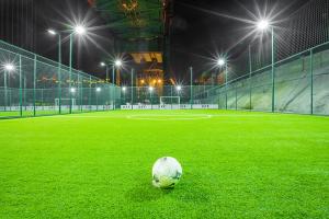 China PVC Eco Friendly 25mm Artificial Lawn Grass High Carbon PE factory