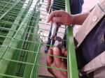 hot sale customization Canada PVC coated temporary fence china