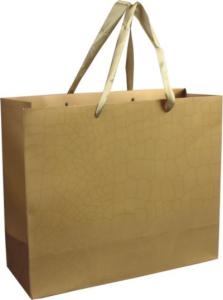 China Fresh long stripe design shopping bag craft paper material for wholesale factory
