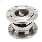 Sanitary Stainless Steel Ball Type Silencing Check Valve for Normal Temperature
