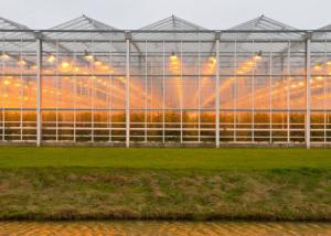 China High Transmittance Plastic Panels Greenhouse Light Steel Structure Frame factory