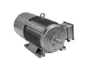 China IP55 Ultra High Efficiency Electric Motor , YE4 Series 3 Phase Induction Motor factory