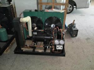 China Compressor Condensing Unit , Air Cooled Low Temperature Condensing Unit factory
