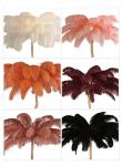 DIY Ostrich Feather Lamp