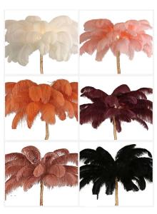 China DIY Ostrich Feather Lamp factory