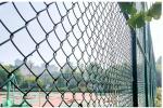 Customized plastic coated chain link fence for enclosure chicken breeding, fish