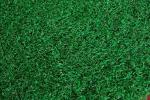 8000 DTEX Artificial Grass Landscape PE