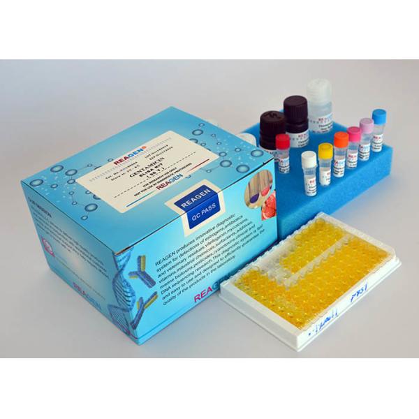 China High Sensitivity Chlormadinone ELISA Test Kit For Accurate Quantitative Detection factory